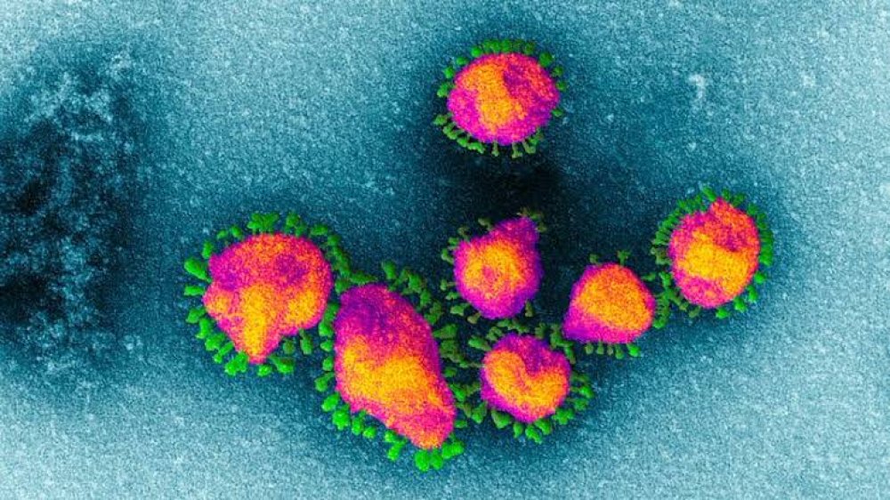 Fear Heightens As Coronavirus Cases In Nigeria Hit 184
