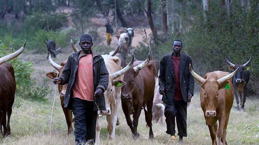 Enugu Leads As ‘Jihadist Herdsmen Forcefully Invade, Occup