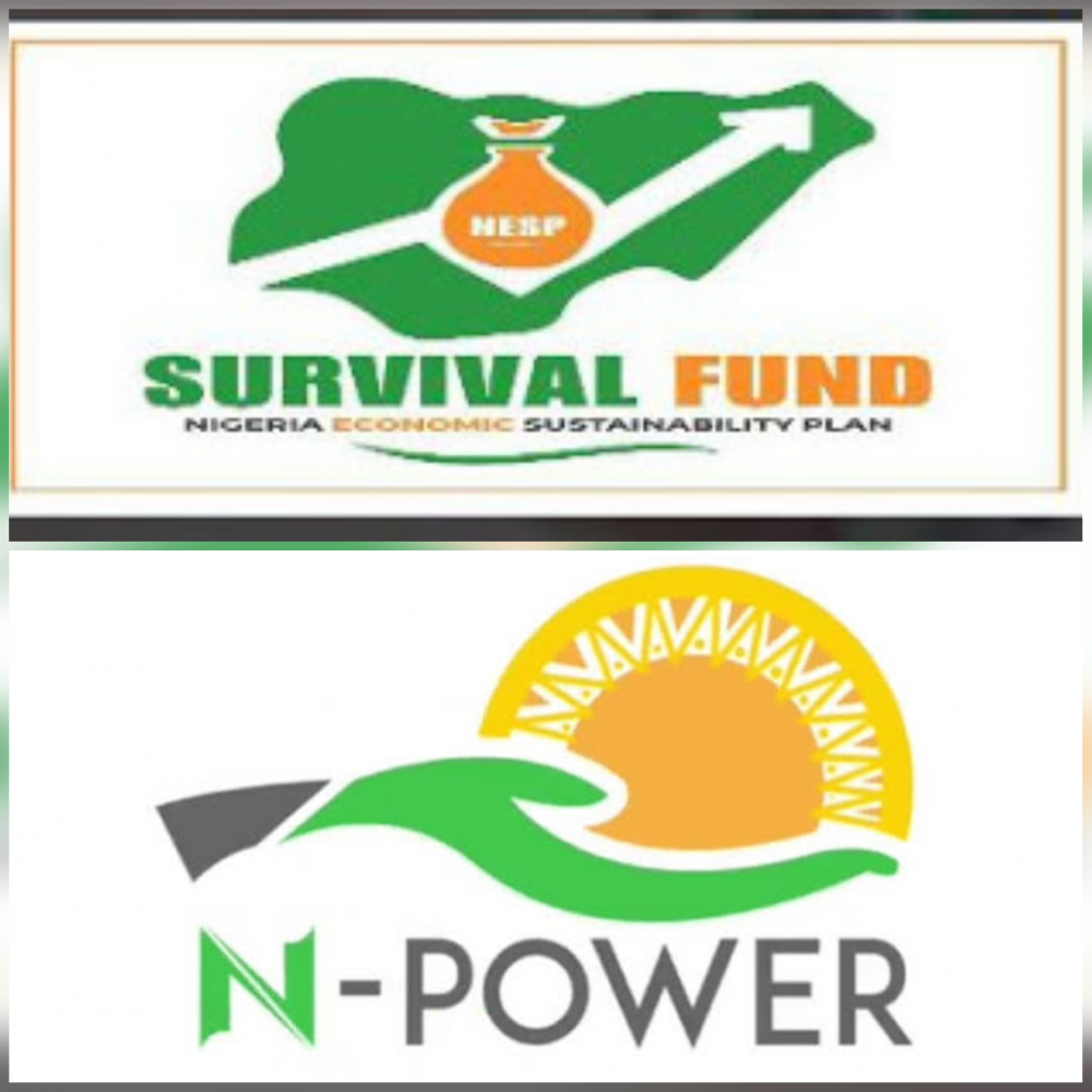 Unemployed Nigerians To Use N-Power, Survival Fund To Surviv