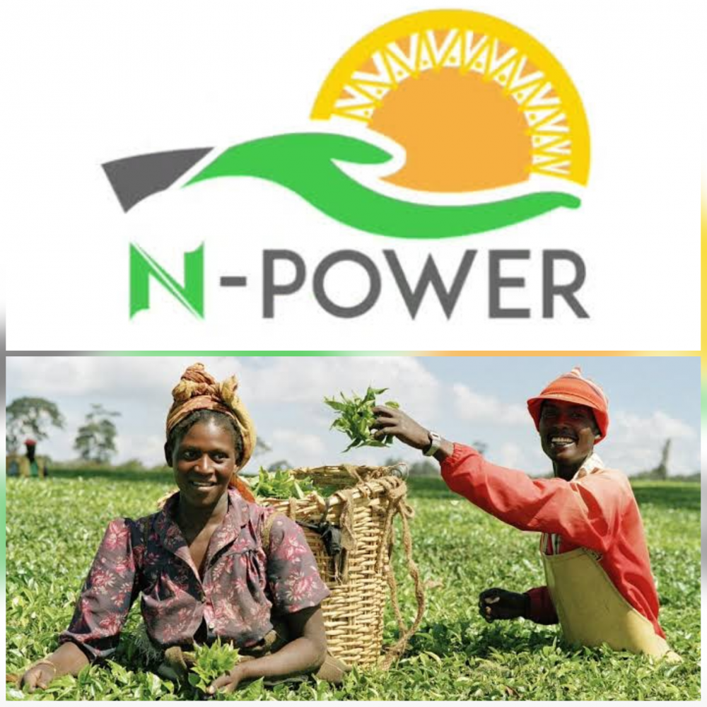 Time For N-Power Beneficiaries To Go Into Farming As FG Budg