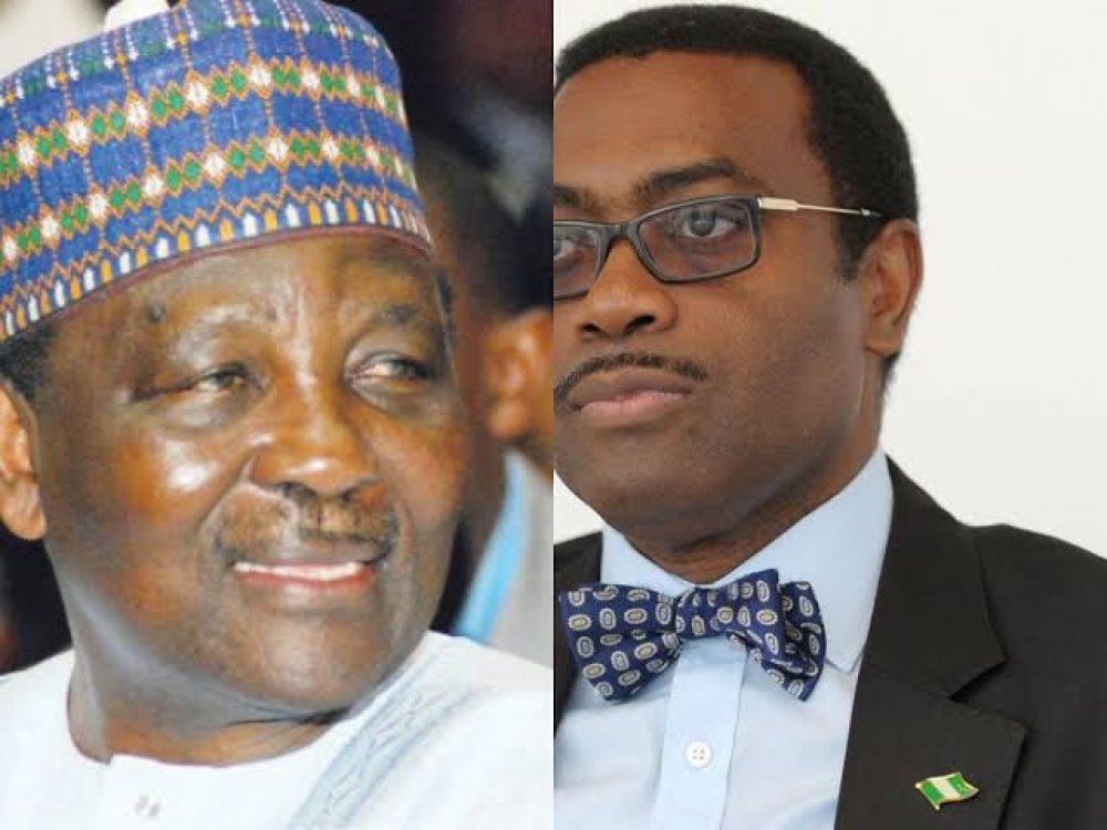 AfDB's Adesina Defends Gowon Amid CBN Loot Allegation, Niger