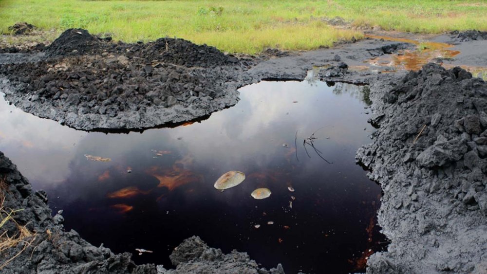Bayelsa: Huge Oil Spill Pollutes Creeks, Communities