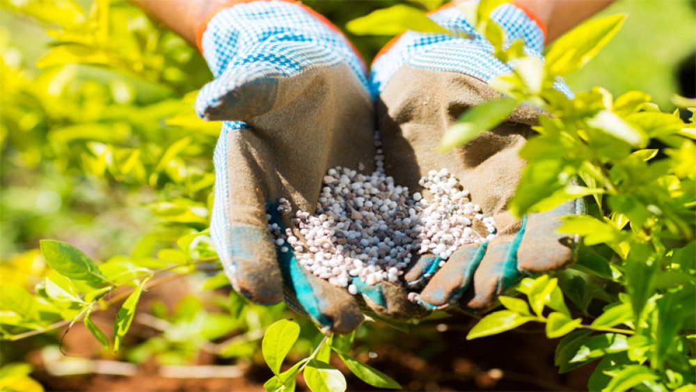 Expert Warns Against Application Of Harmful Fertilisers