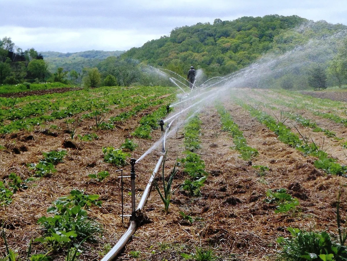 Expert Urges Less Dependence On Rain-Fed Farming