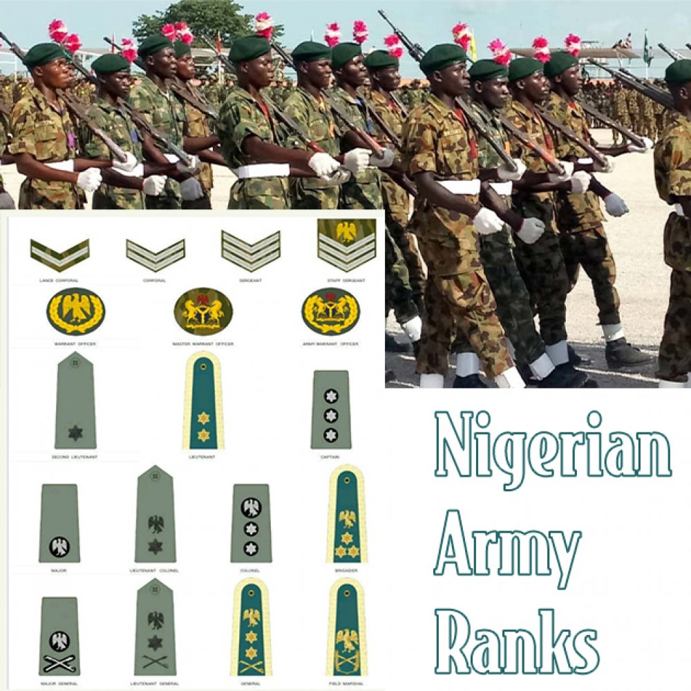 Nigerian Army Ranks And Logo - Military Ranks In The Nigerian Army