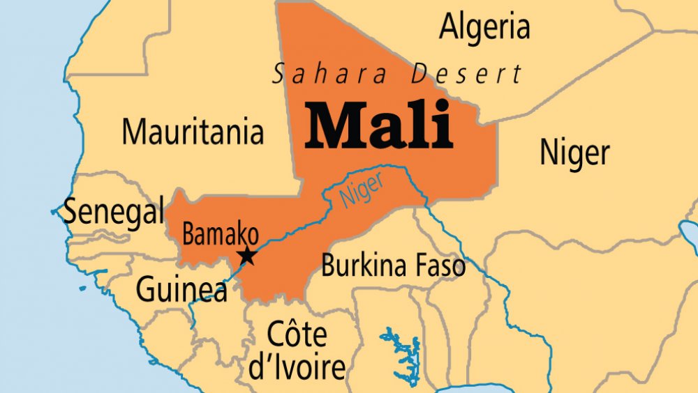 AU Suspends Mali With Immediate Effect Following Second Coup